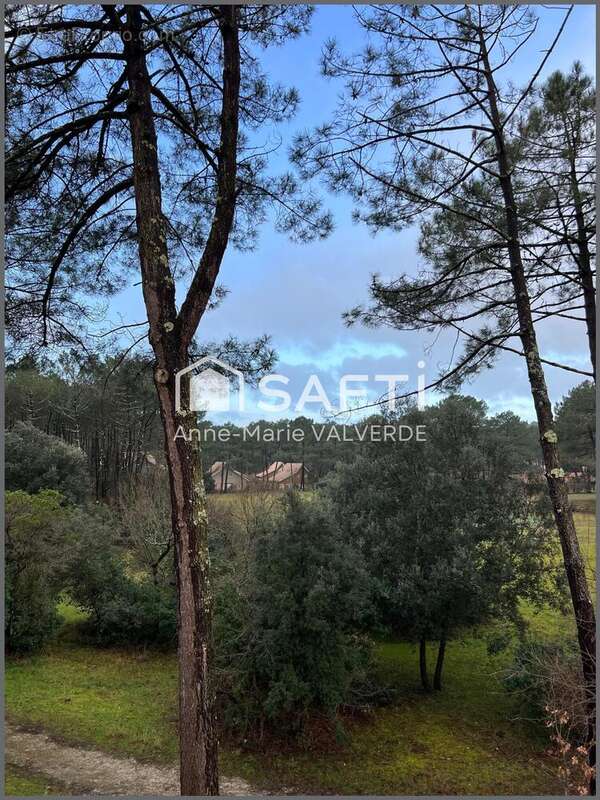 Photo 3 - Appartement à LACANAU