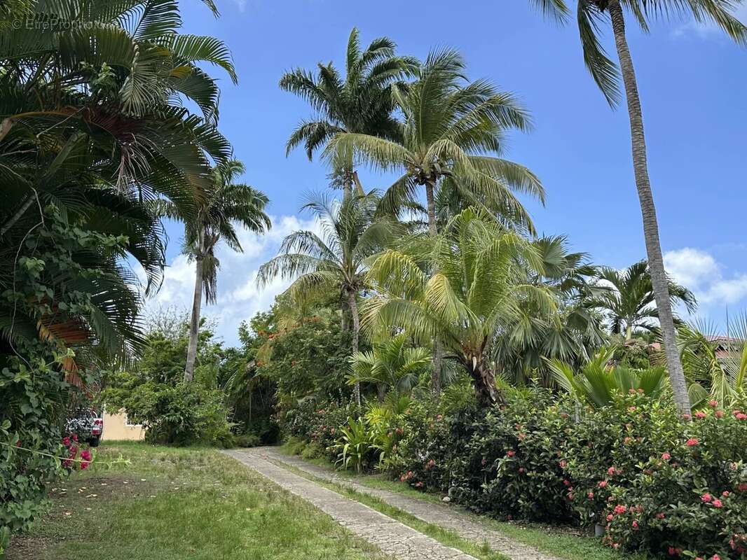 Maison à SAINT-FRANCOIS