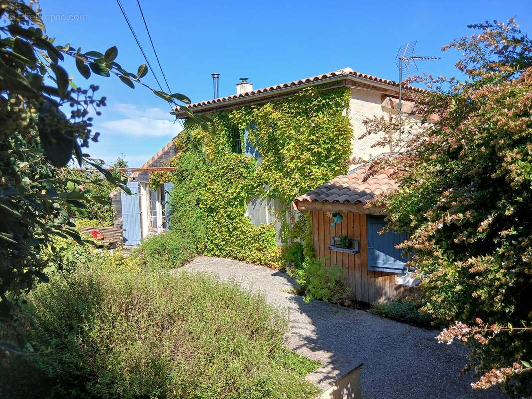 n°1 - Maison à SAINT-SALVY