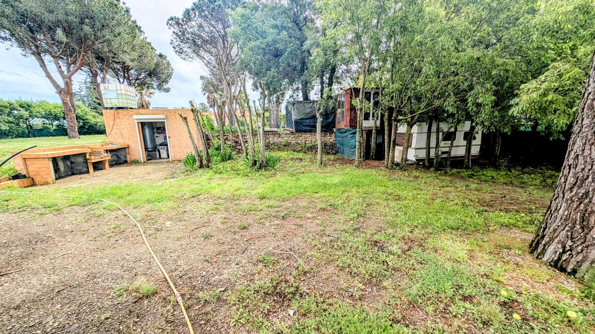 Terrain à LAROQUE-DES-ALBERES