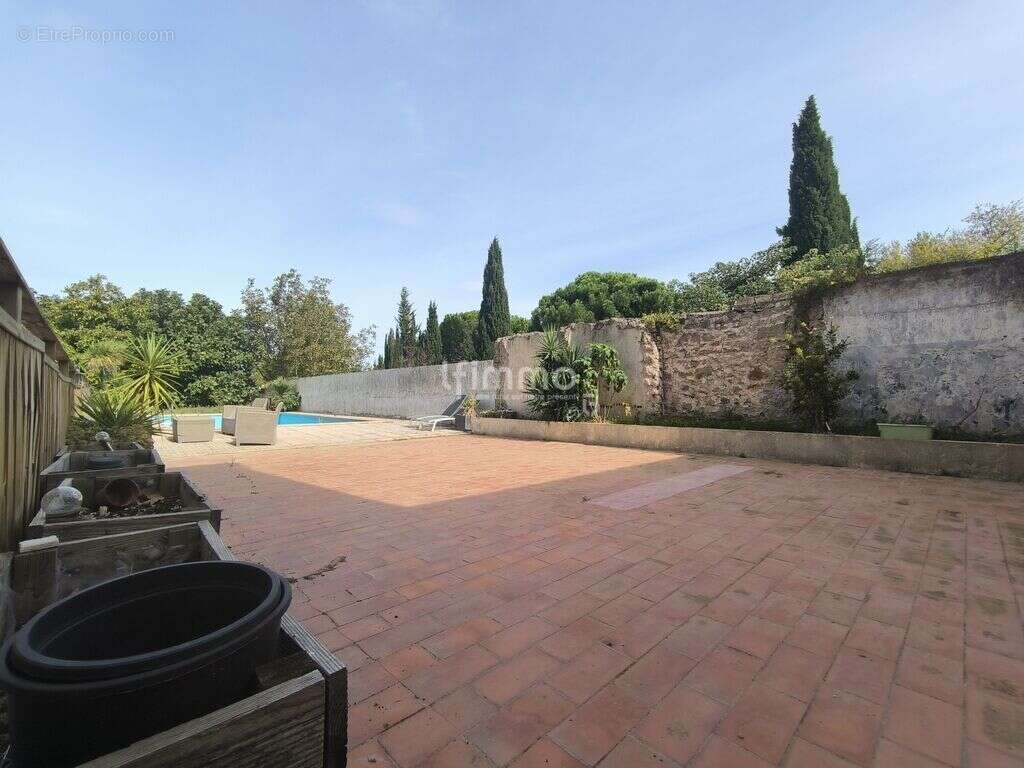 Grande maison vigneronne avec piscine, gîte et dépendances - photo 19