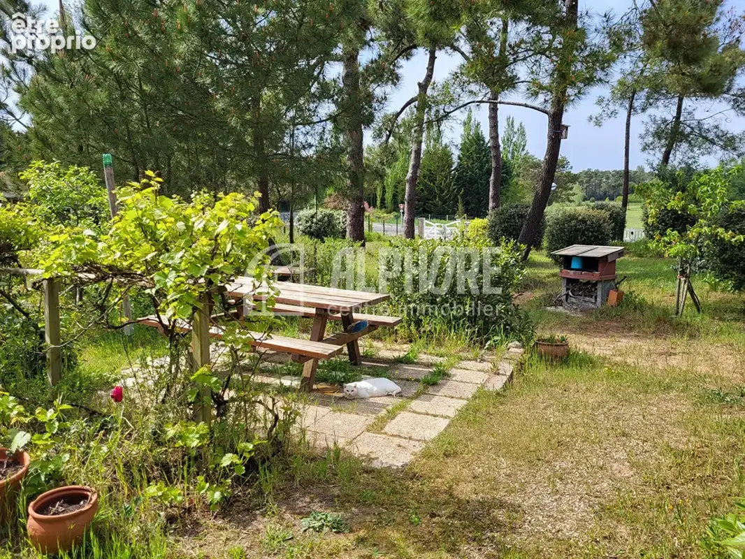 Ensemble de 10 locatifs La Faute Sur Mer - photo 5