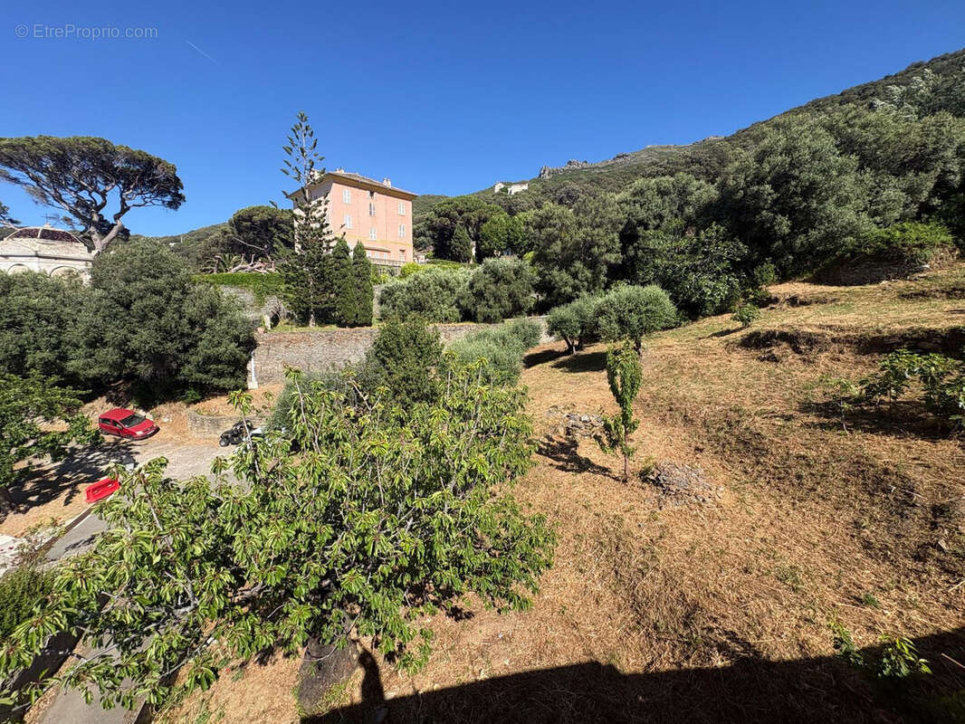 Cap Corse Pino   Terrain à bâtir avec vue mer et avant-projet de villa d’architecte - photo 8