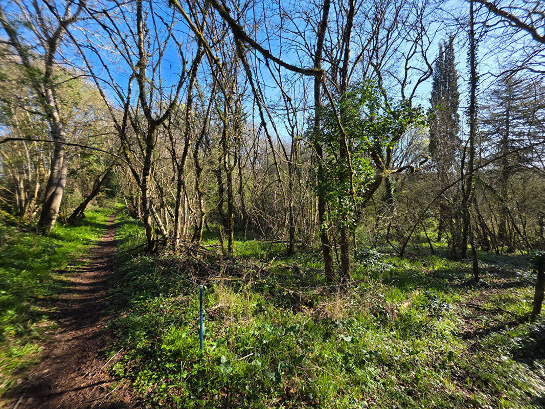 Terrain à ANGLES-SUR-L'ANGLIN