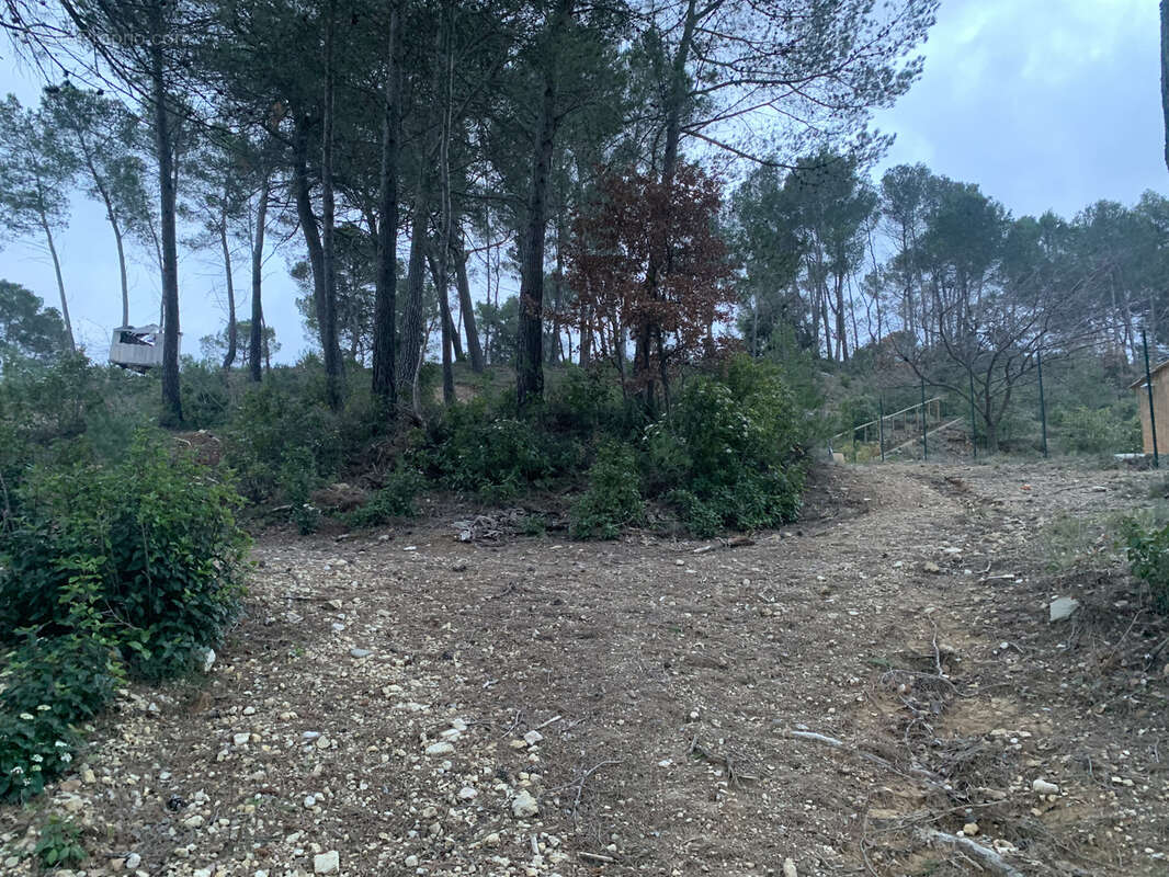 Terrain à LA ROQUE-D&#039;ANTHERON