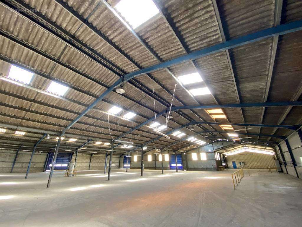 Commerce à BEZU-SAINT-ELOI