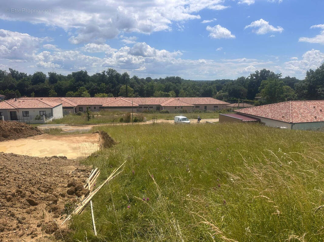 Terrain à REALVILLE