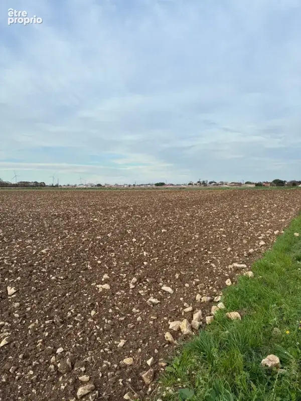 Terrain 281 m² à vendre à Angliers (17540) - photo 3