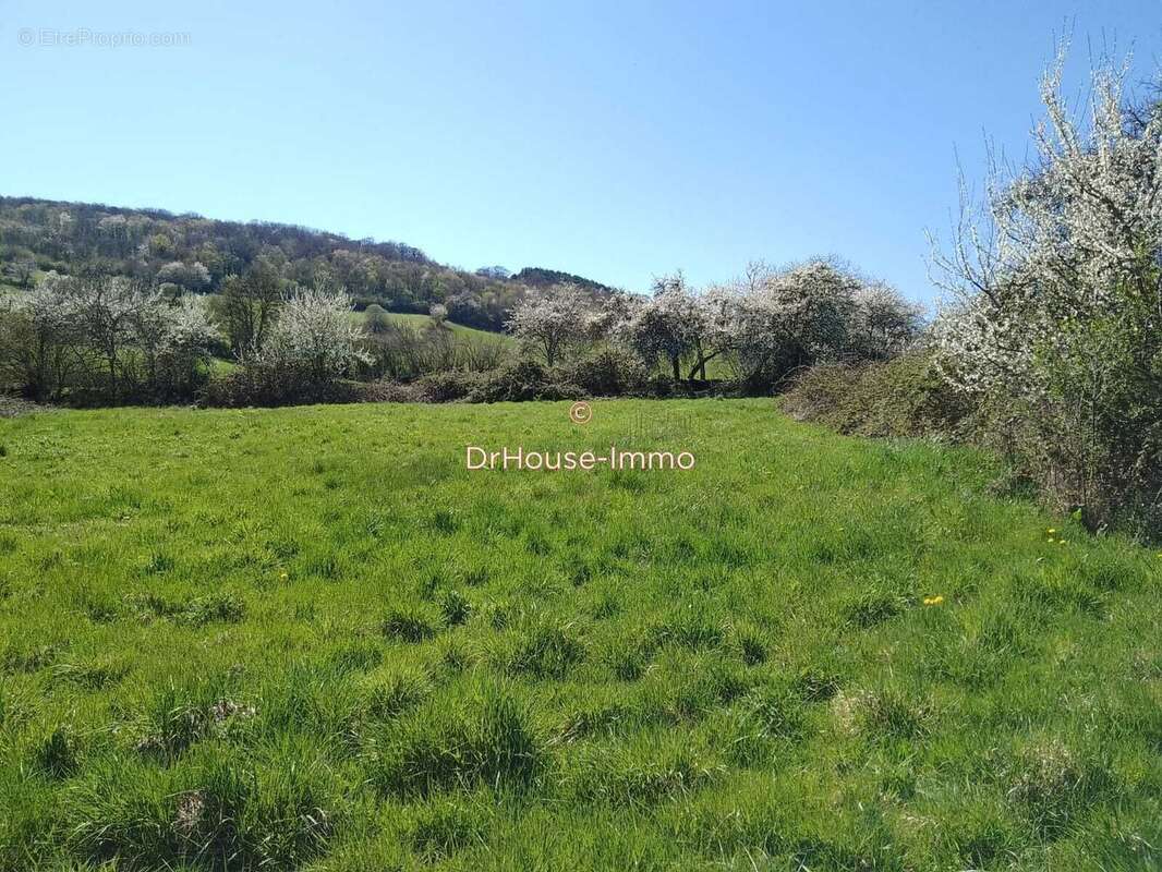 Maison à SAINT-BENIN-DES-BOIS