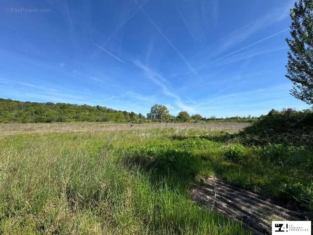 Terrain à MARTRES-TOLOSANE