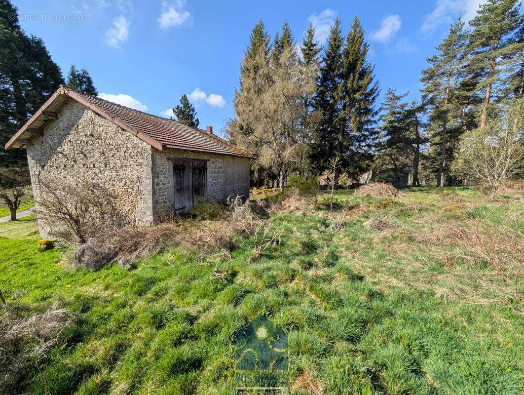 Maison en pierre - photo 7