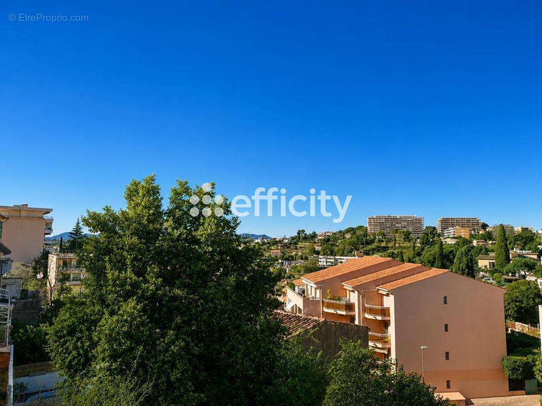 Appartement - photo 6