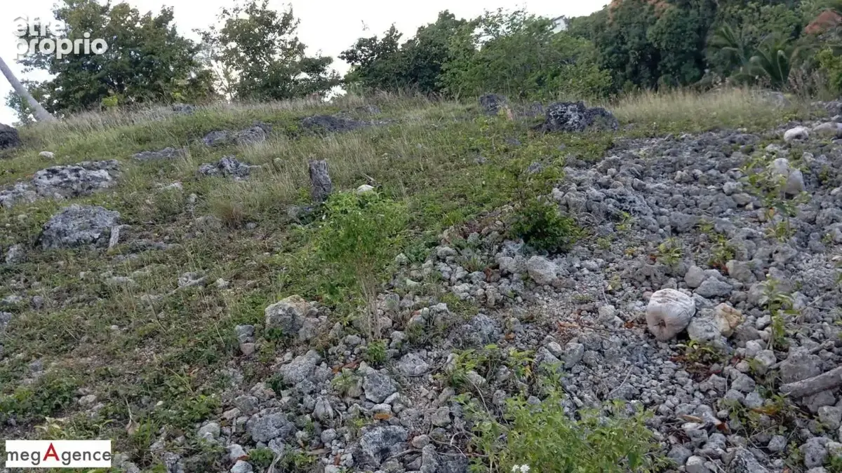 Opportunite : 2995m2 au cœur d'un secteur recherché - photo 4