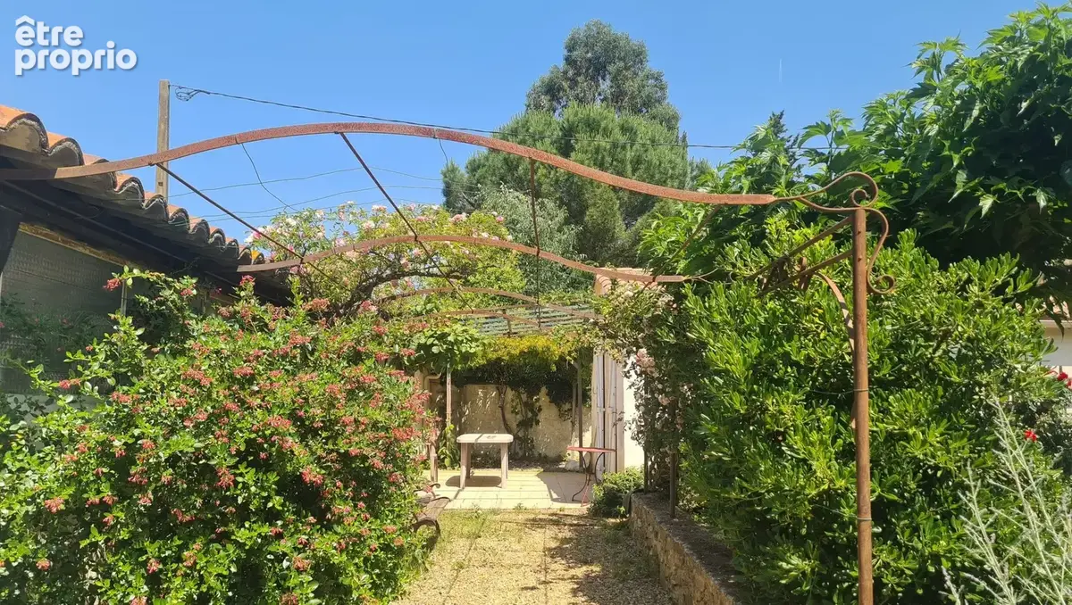 jardin 2