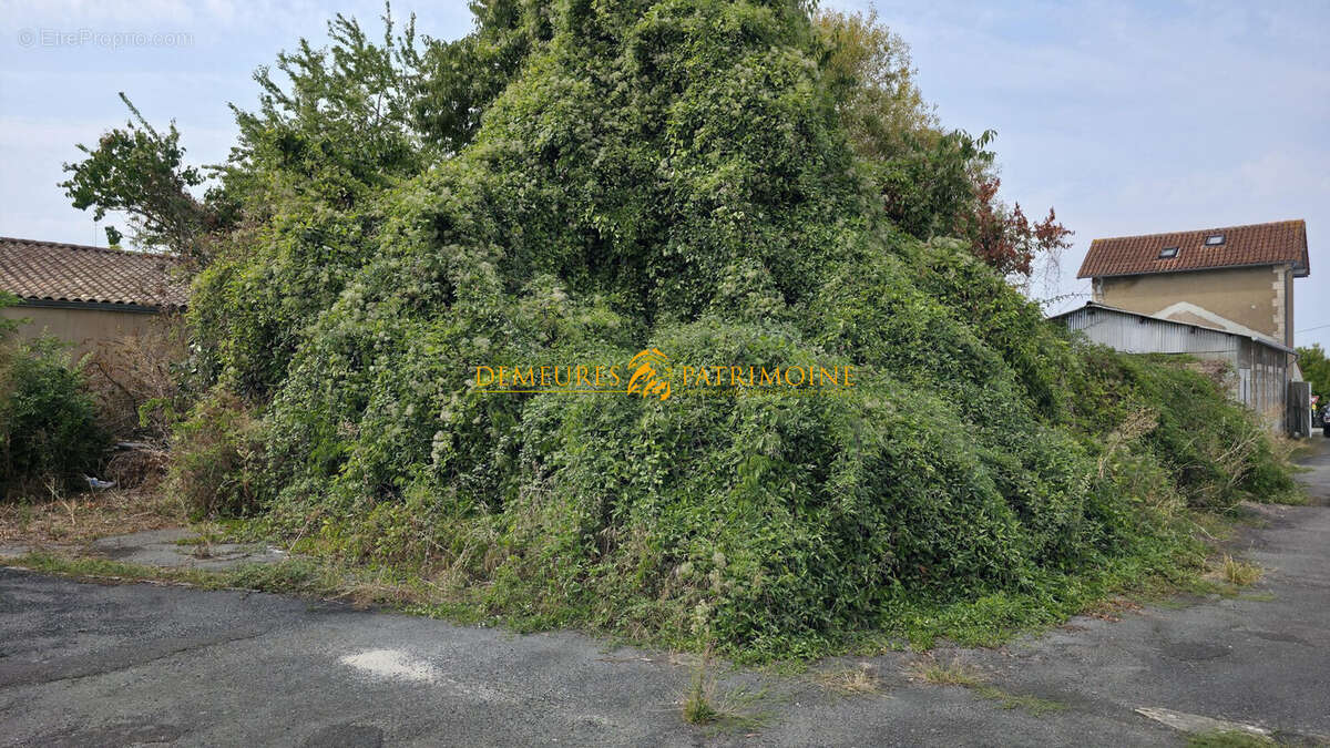 Terrain 400 m² à Soyaux  - photo 2