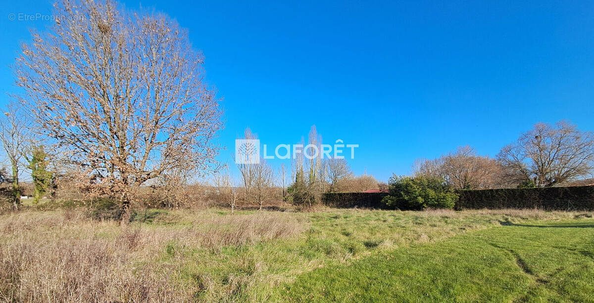 Terrain à VILLEMATIER