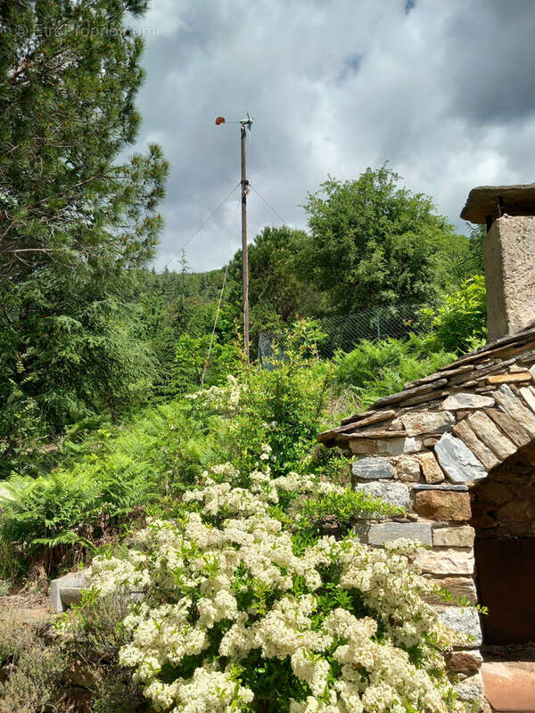 Maison à SAINT-VINCENT-D'OLARGUES