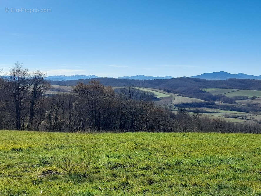 Terrain à BIDACHE