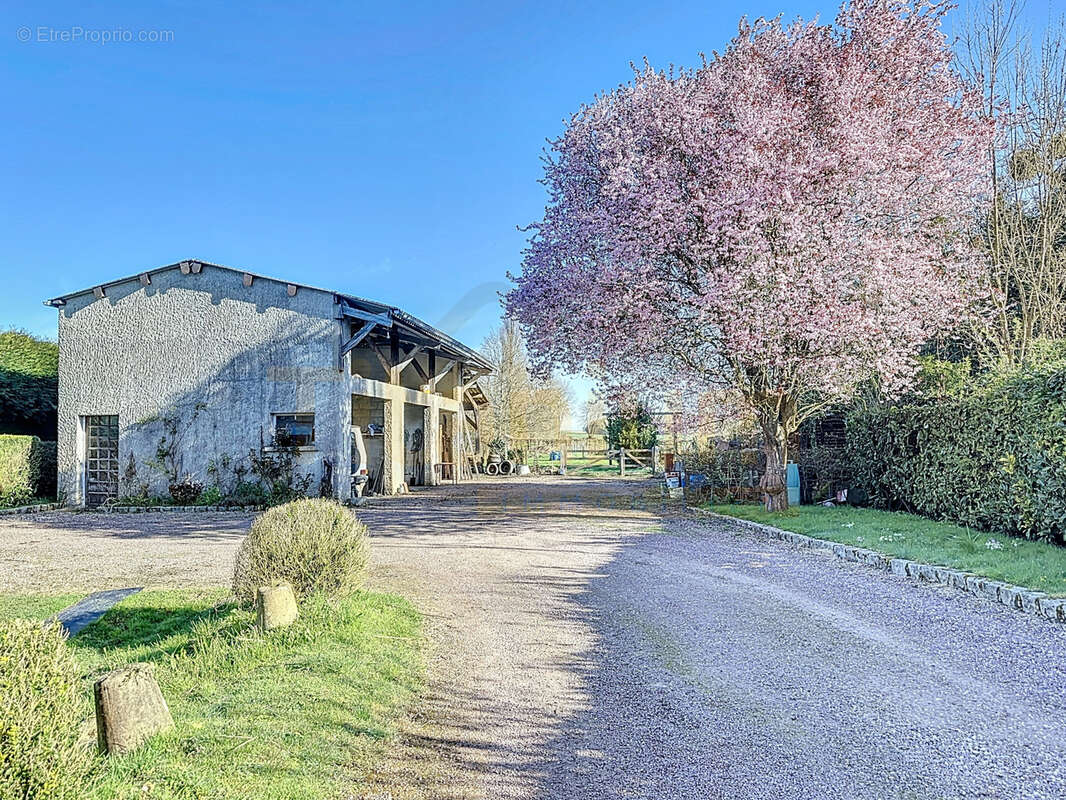 Maison avec grand jardin   3 chambres   Sous-sol complet   Dépendances - photo 13