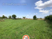 Terrain à LE PLESSIS-GROHAN