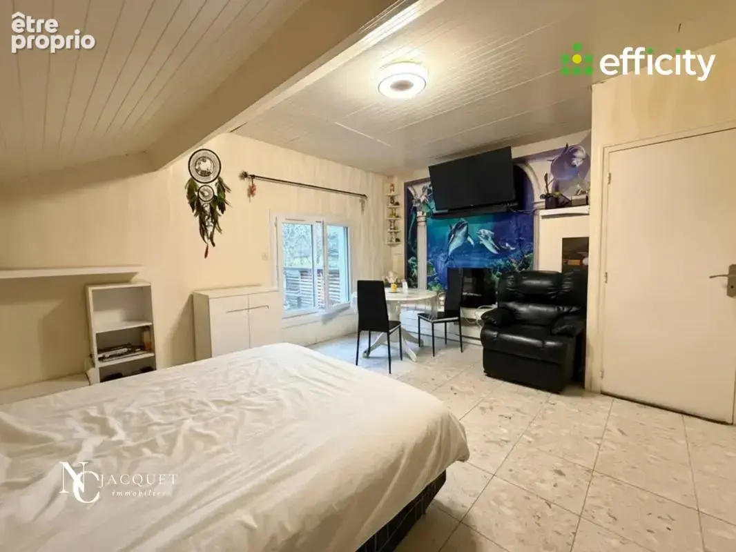 Maison 11 pièces 334 m² à vendre à Les Abrets (38490) - photo 9
