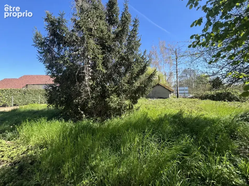 Terrain 604 m² à vendre à Cattenom (57570) - photo 4