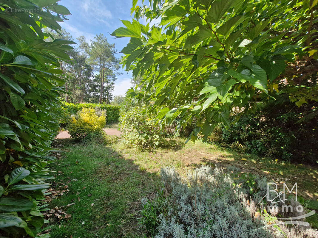 Maison à VIELLE-SAINT-GIRONS