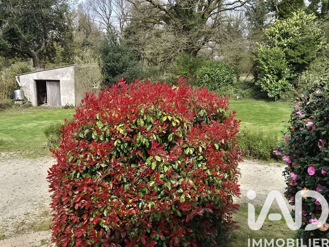 Photo 2 - Maison à MAEL-CARHAIX
