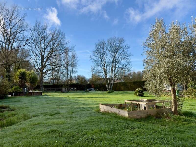 Maison à CHOUZE-SUR-LOIRE
