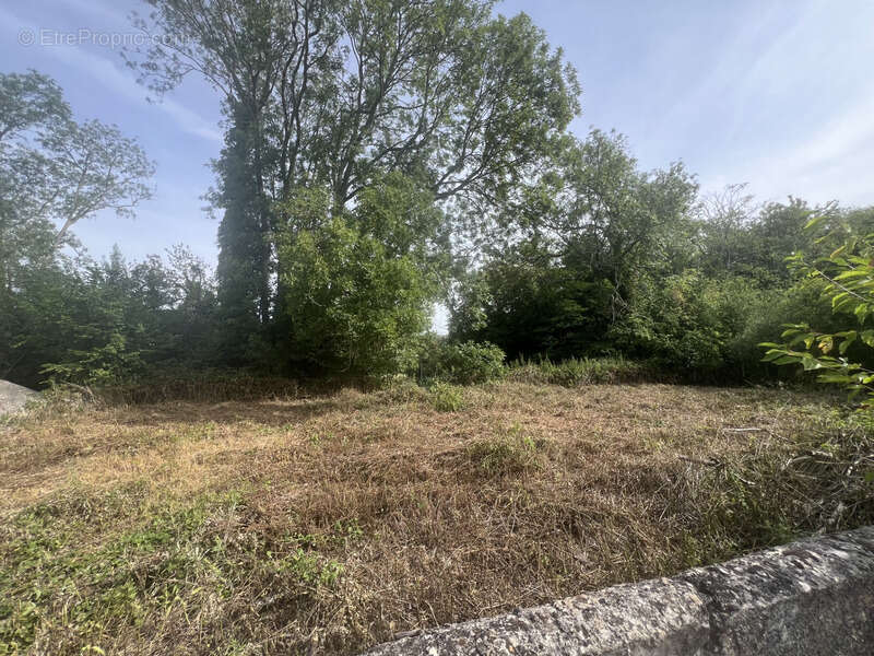 Terrain à vendre  BETHEMONT LA FORET (95) - photo 2