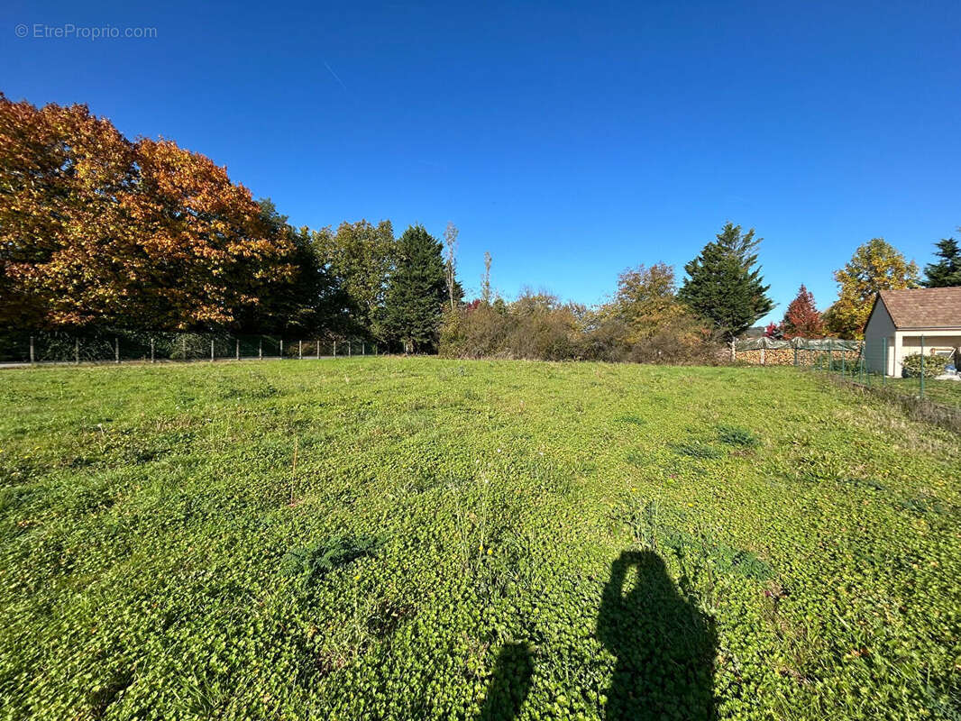 Terrain à MONTIGNY-SUR-LOING