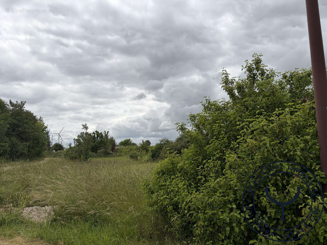 Terrain 700 m² à Chatres  - photo 2