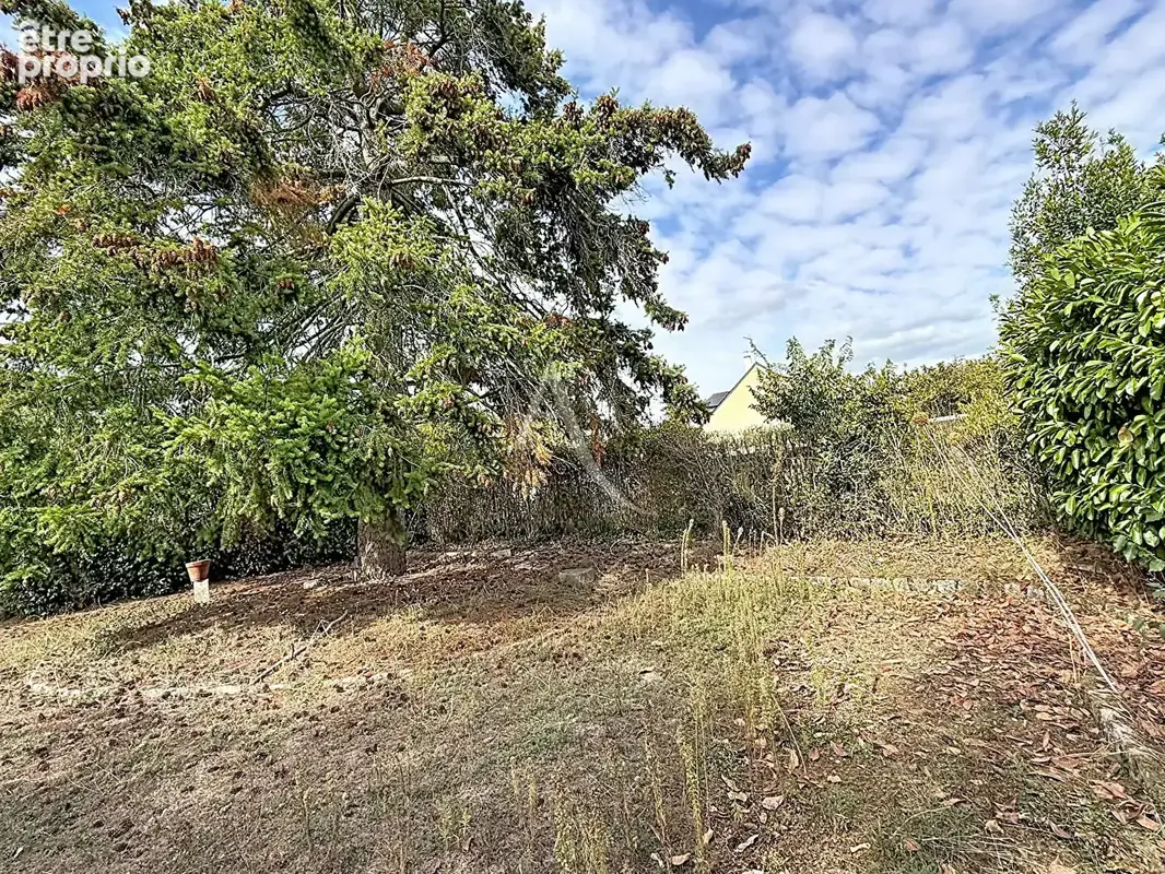 Terrain Verrieres En Anjou 880 m2 - photo 3