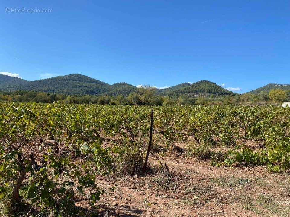 Terrain à LE CASTELLET