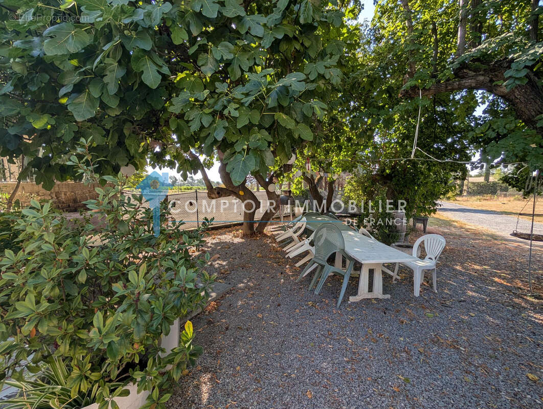 Dépt Hérault (34) - Valflaunès - À vendre - Appartement en rez de jardin T3 de 100m2, parcelle de 2000m2 - photo 12