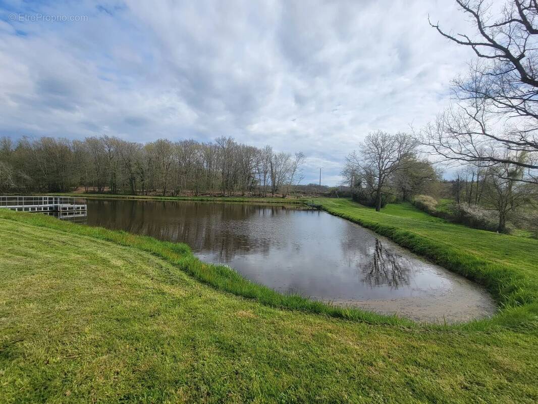 Terrain à LE CHAUTAY