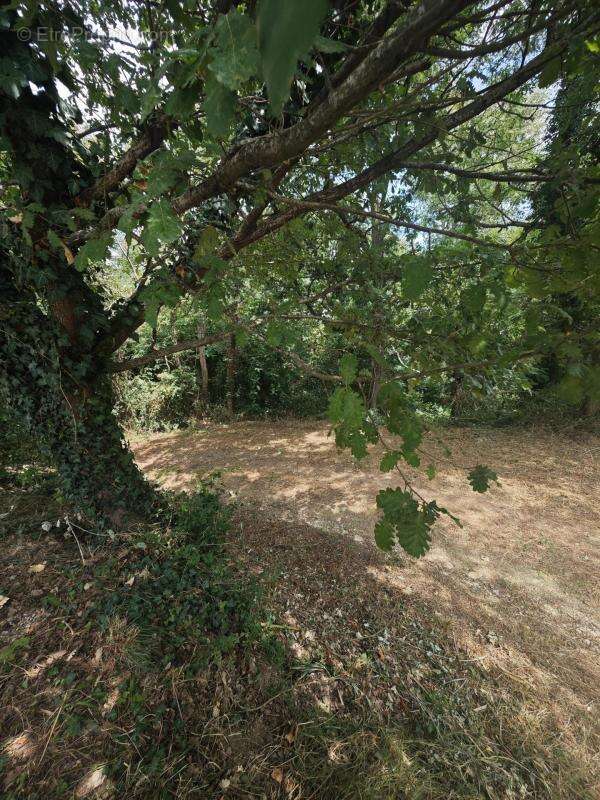 Appartement à MERVILLE