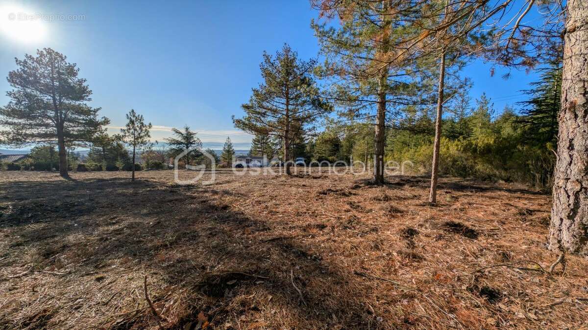 Terrain de 8 000 m² dont 3 700 m² constructibles, avec vue dégagée - photo 10