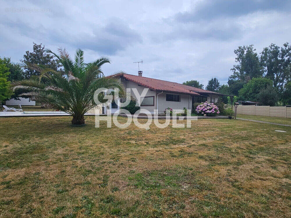 Maison à VILLENEUVE-DE-MARSAN