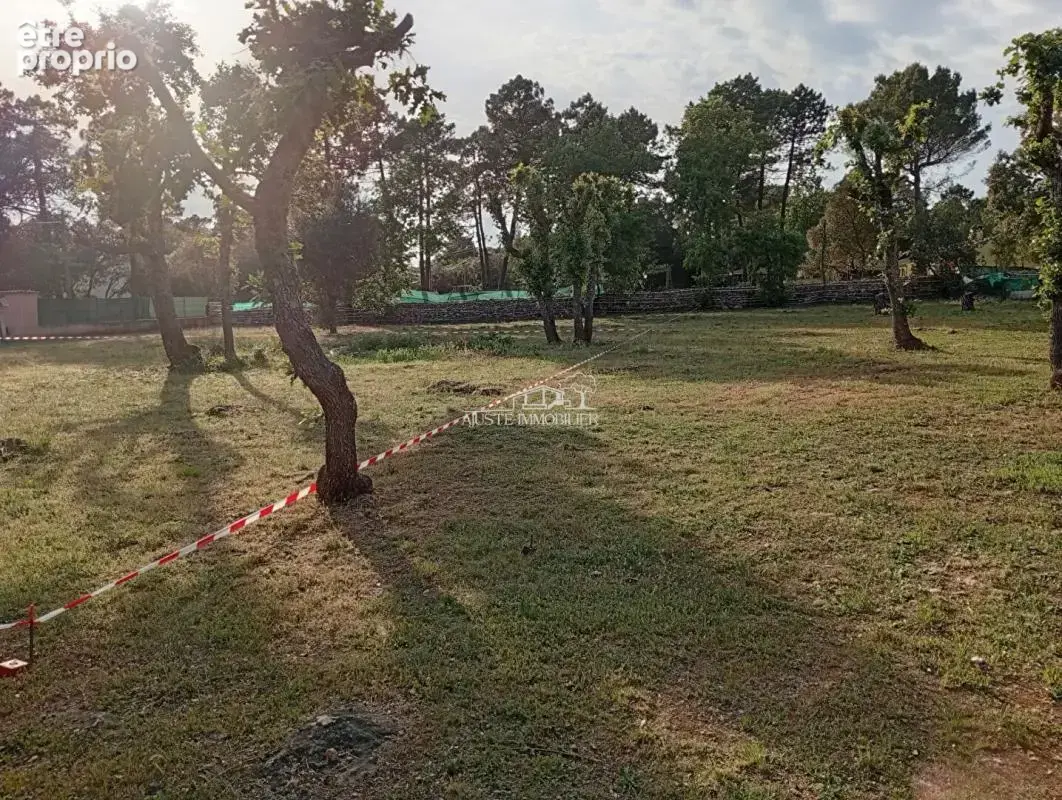 Deux terrains de 650 m2 - photo 3