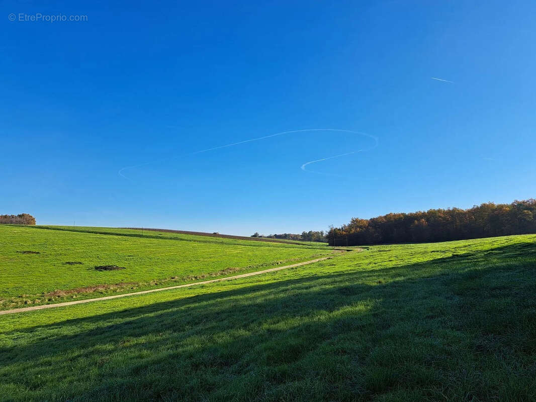 À Vendre : Charmante Propriété à rénover dans l'Entre-Deux-Mers - Réf 97 - photo 6