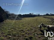 Photo 1 - Terrain à MOISDON-LA-RIVIERE