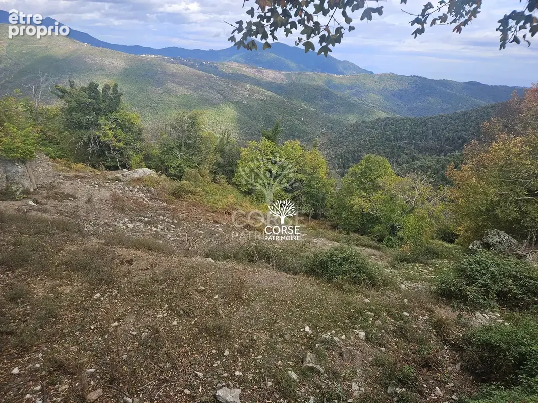 Terrain à PIETRASERENA