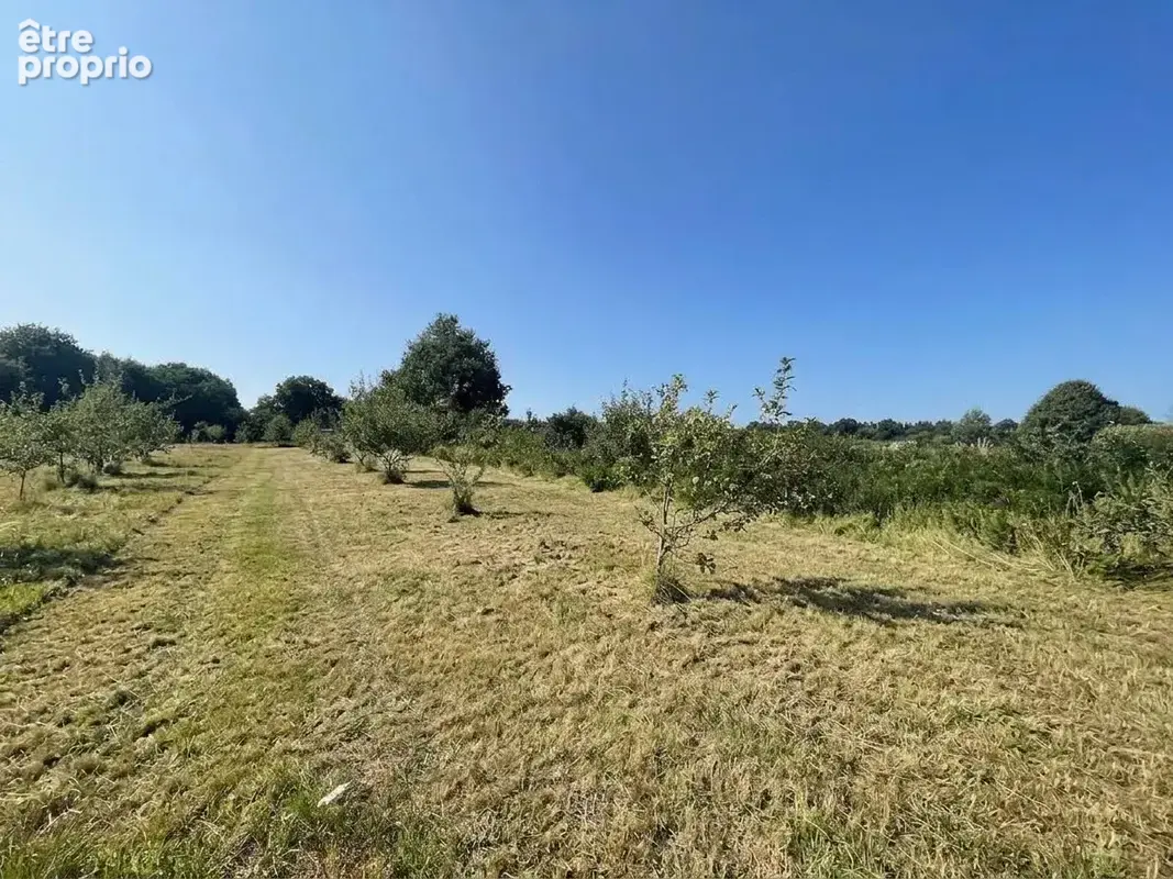 Terrain 4 060 m² à vendre à Iffendic (35750) - photo 3
