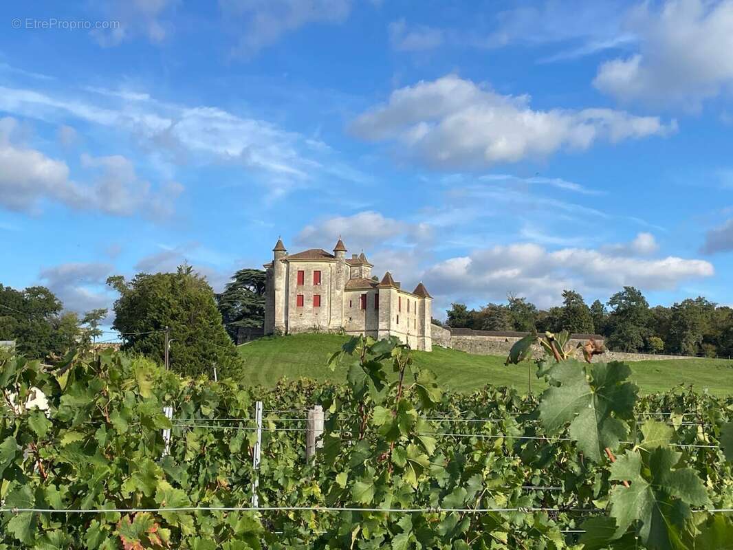 Maison à PUISSEGUIN