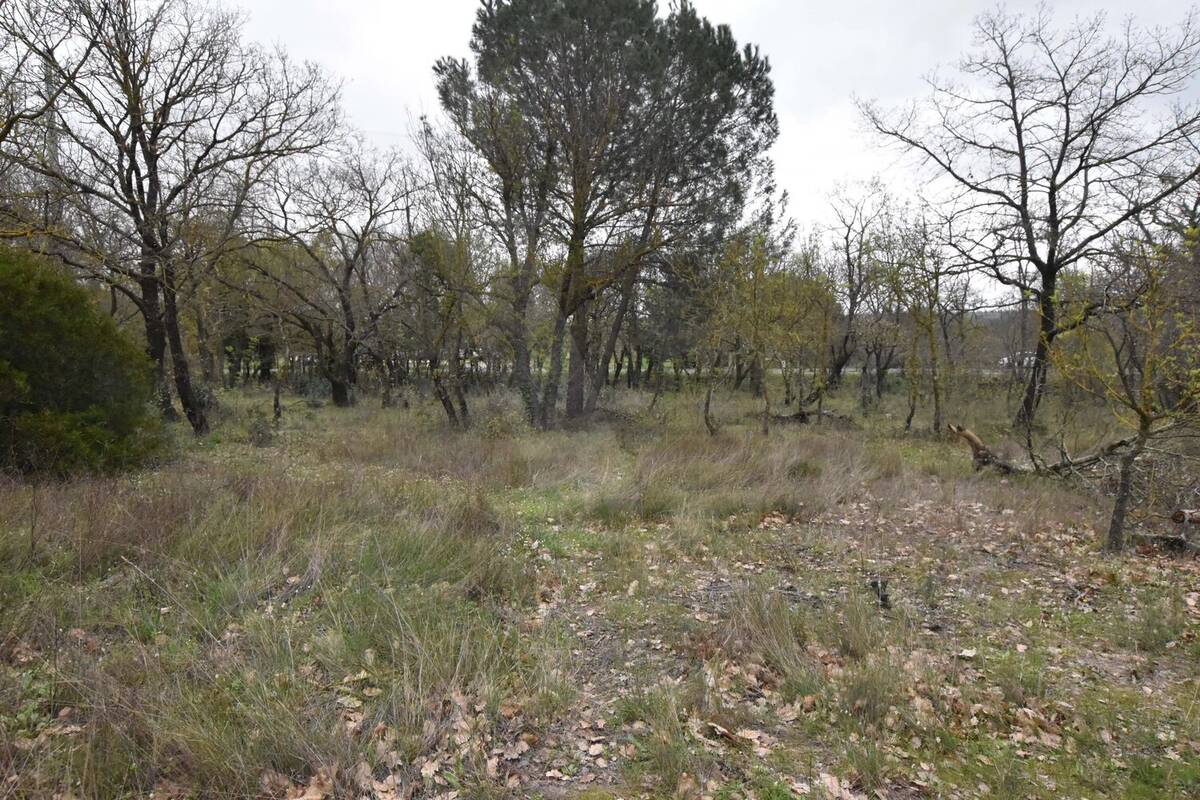 Terrain à MARAUSSAN