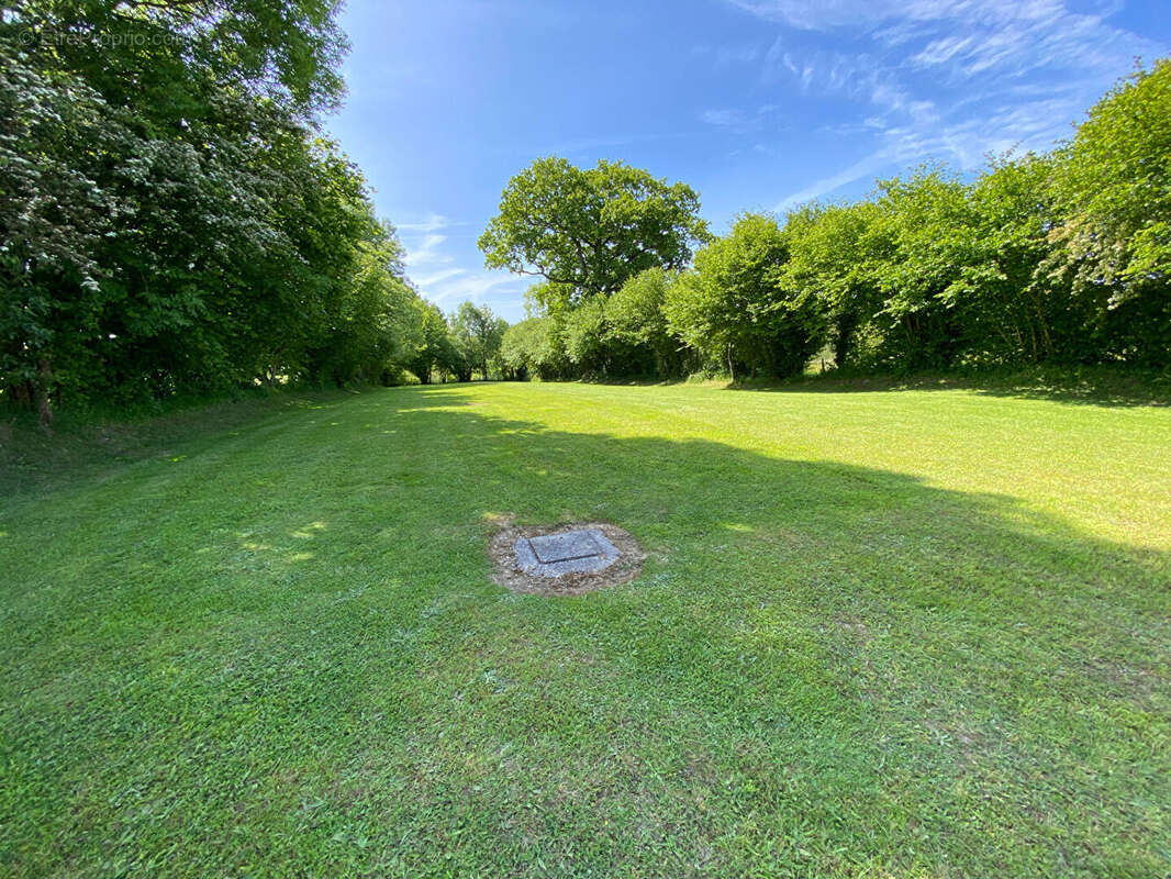 Maison à SAINT-GEORGES-D&#039;ELLE