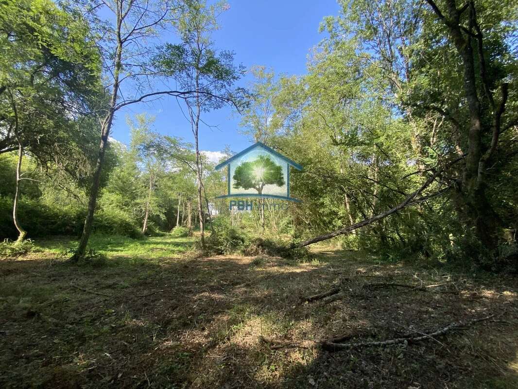 Terrain de loisirs de 3 230 m2 - photo 4