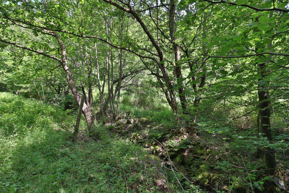 Terrain à LINTHAL
