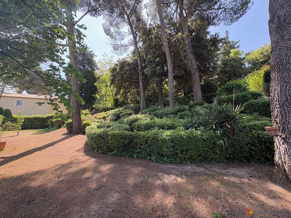 Terrain 637 m² à Velaux  - photo 4